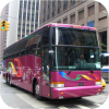 New York Van Hool coaches